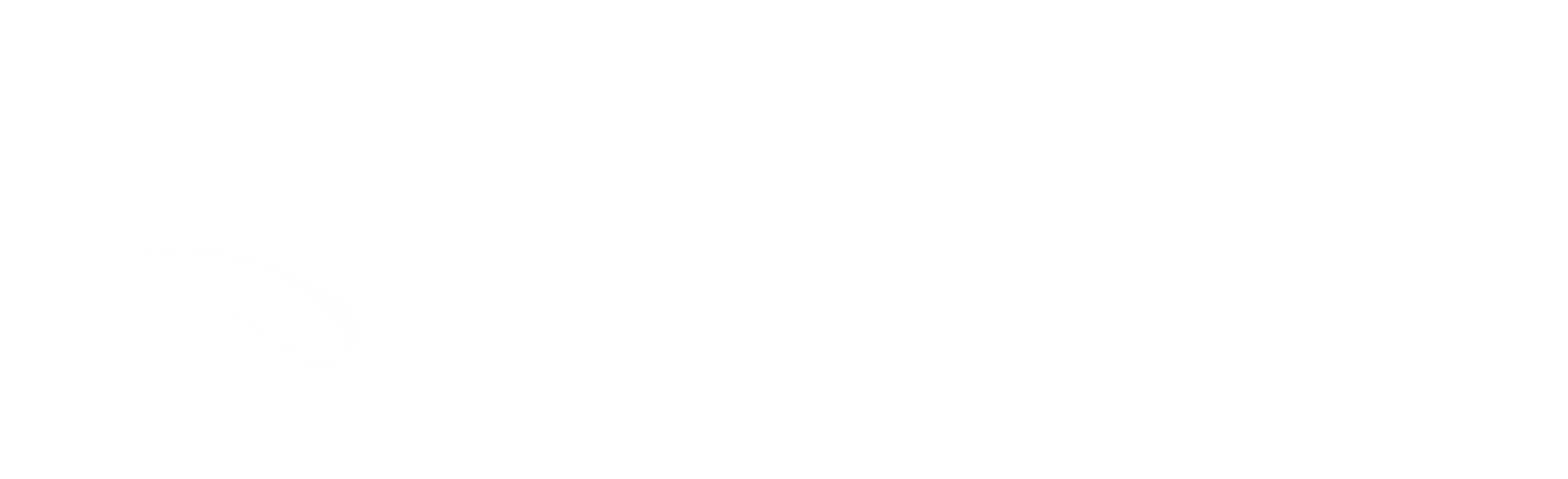Zplendid logo